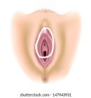 Sakit bahagian vagina selepas bersalin