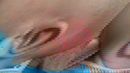 tapi bukan biang keringat