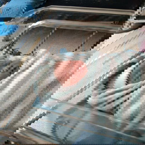 แตกก่อนเลยจ้าาา กำหนด1เมษา