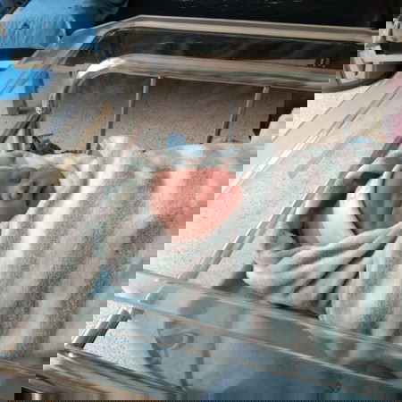 แตกก่อนเลยจ้าาา กำหนด1เมษา