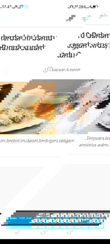 Artikel tentang bahan herbal cegah virus
