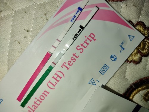 Opk dan upt positive