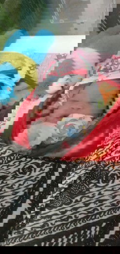 Alhamdulilah lounching