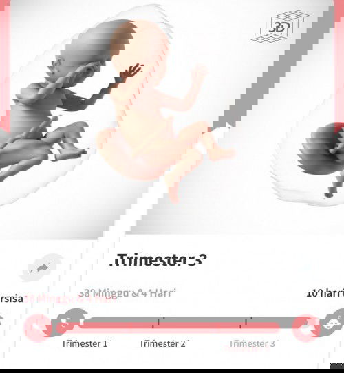 Menunggu gelombang” cinta dari malaikat kecil🤲🏻😇