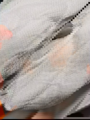 Red orange color urine
