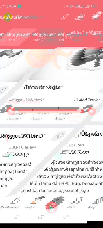 Bissmillahirahmannirahim..