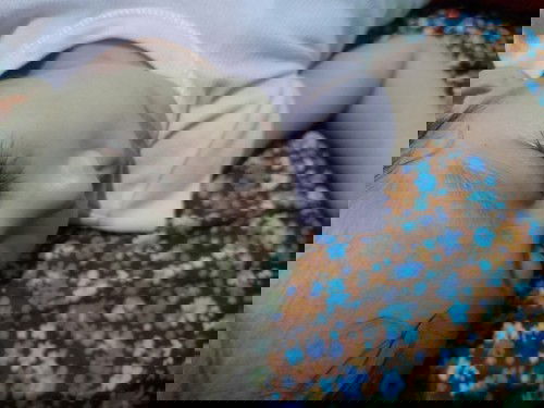 Hamil dan berusaha menyapih