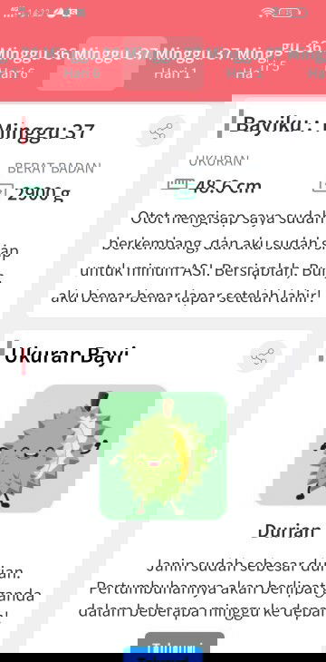 37 week menanti debay