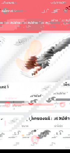 ทีมพฤษภาคม