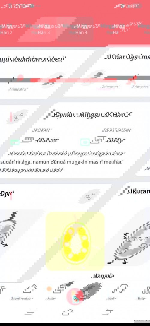 Menunggu gelombang cinta