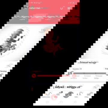 Bismillahirohmanirohim