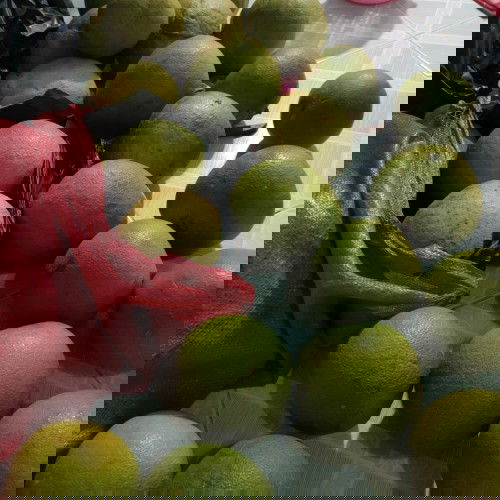 Chào mọi người