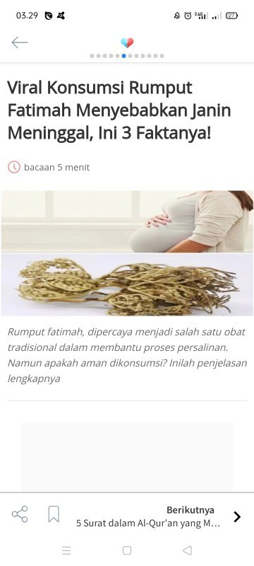 Rumput Fatimah untuk Ibu Hamil. Yes or No ?