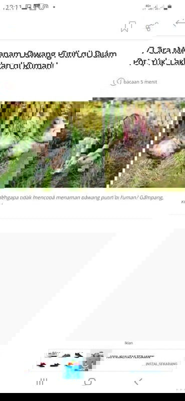 Bunda , Tanam Bawang Putih di Rumah Yuk!