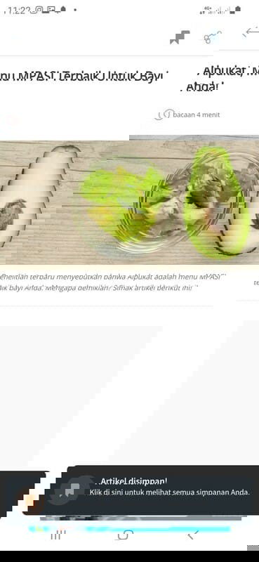 Buah MPASI terbaik adalah Alpukat