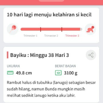 Menunggu gelombang cinta