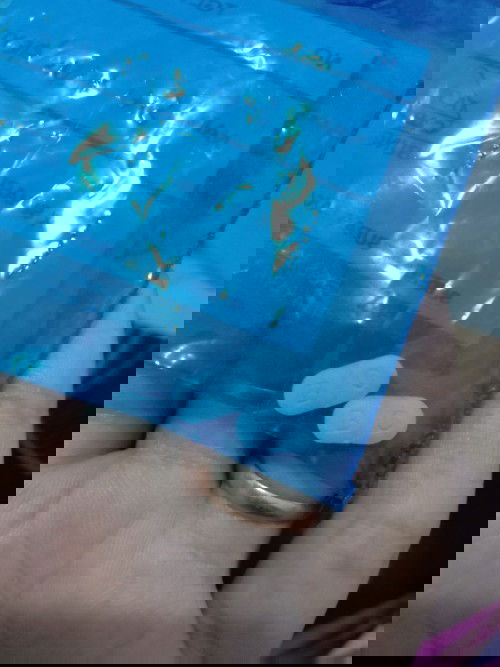 Nama obat ini apa ya?