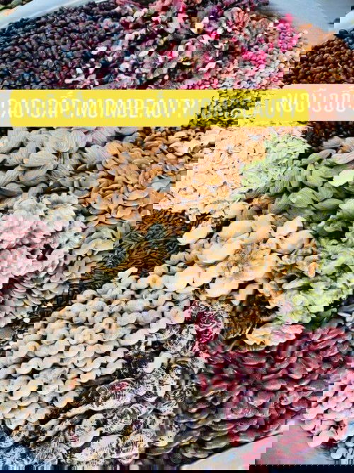 Ngũ cốc cao cấp 25 loại hạt nhà làm