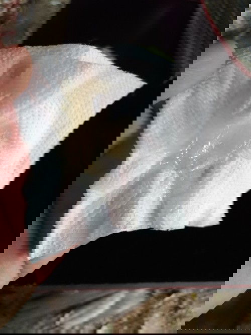 แบบนี้เรียกว่าหมูก หรือตกขาวคะ  41wแล้วค่ะ มีแต่เจ็บเตือนมานานแล้ว อยากเห็นหน้าเจ้าตัวน้อยแล้วค่ะ