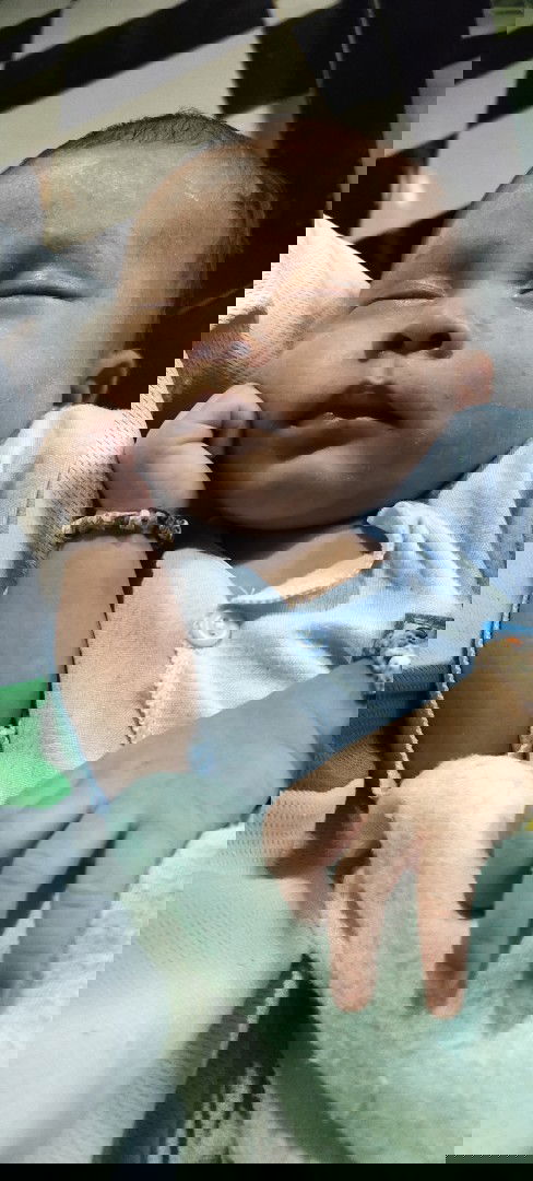 piliapitriani11@gmail.com