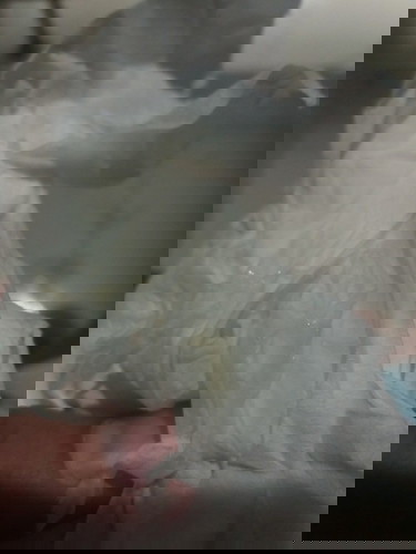 มีมูกสีออกเหลืองไม่ปวดท้อง