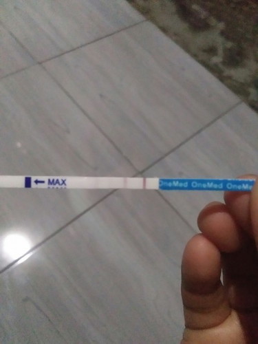 Tespek kehamilan