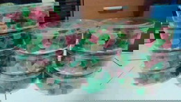 Manisan Agar-agar jelly