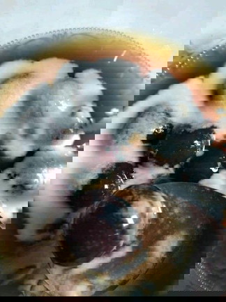 Kolak Biji Salak Ungu