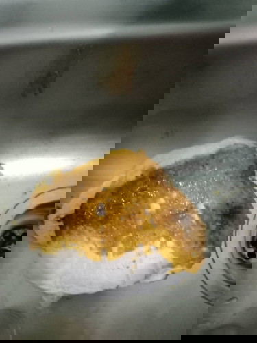 อึลูกสีเหลืองปนดำ