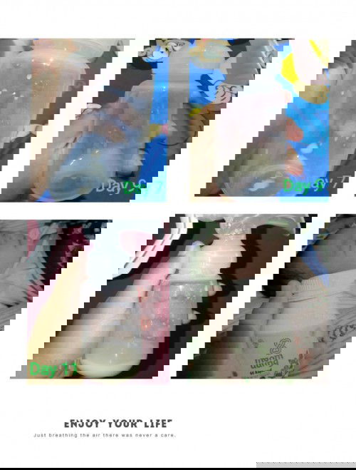 Semangat para pejuang ASI🔥