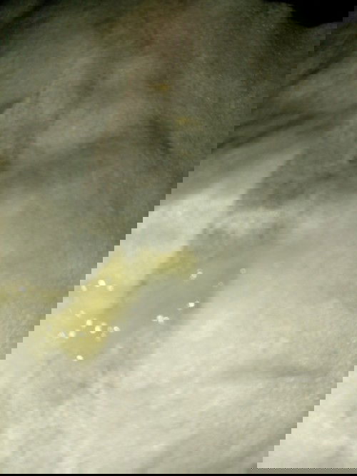 มีมูก.....