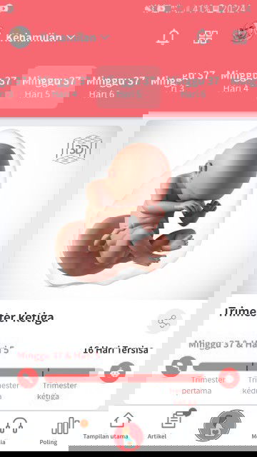 Hpl bulan april tgl 22