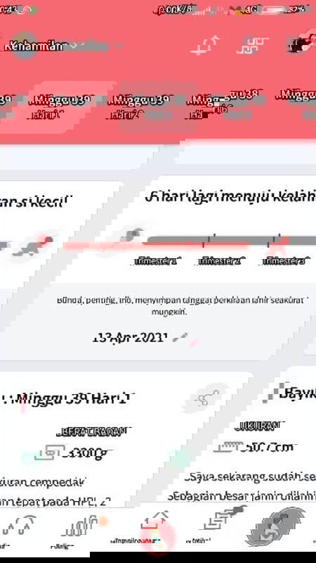 Kehamilan anak pertama