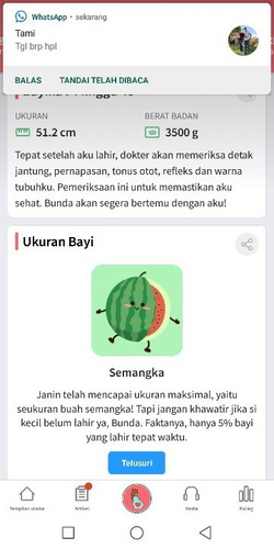 Belum ada gelombang cinta dari dedenya