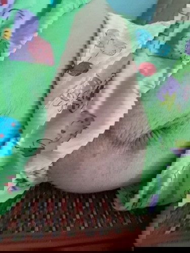 😔😔😔😔...nhưng mà đáng