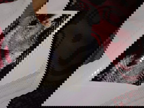 Gini Bun kenapa di akhir2 ini mnjelang usia kndungan msuk 8 bulan saya sering BAB trus