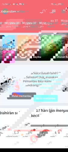 Tampilan Aplikasi TAP