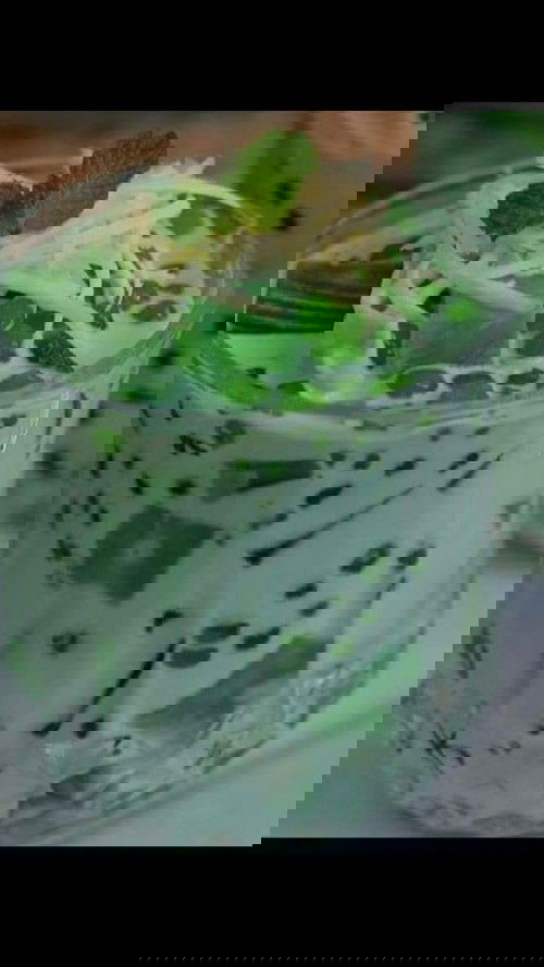 Ramadhan Penuh Berkah