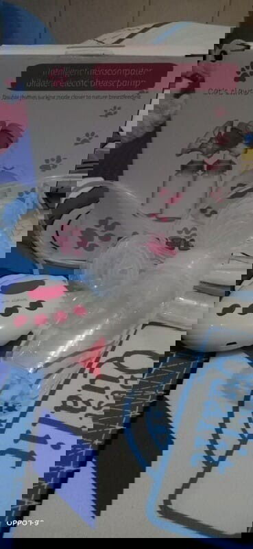 Jual Pompa Asi / Preloved Pompa Electric