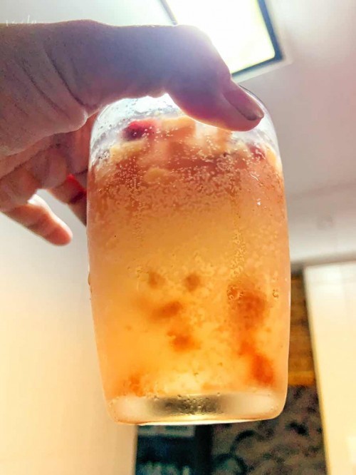 Kombucha drinking time