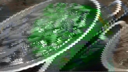 Manisan pepaya muda basah