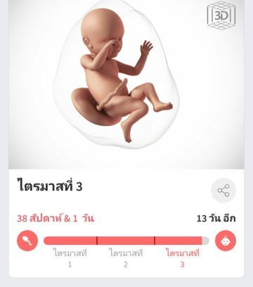 ทีมเมษายน64