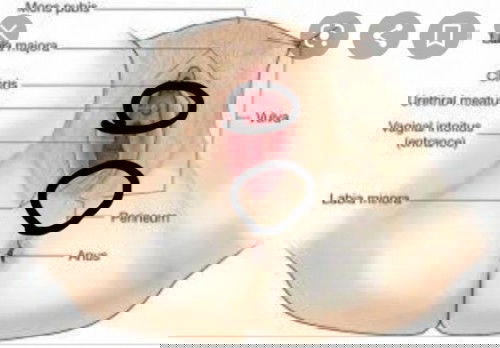 คลอดลูกแบบธรรมชาติ
