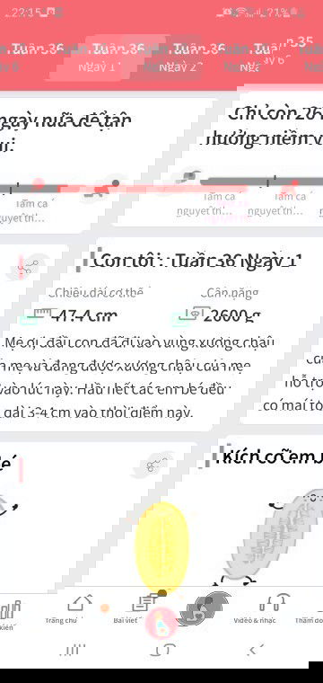 Ngóng em trâu  chào  đời