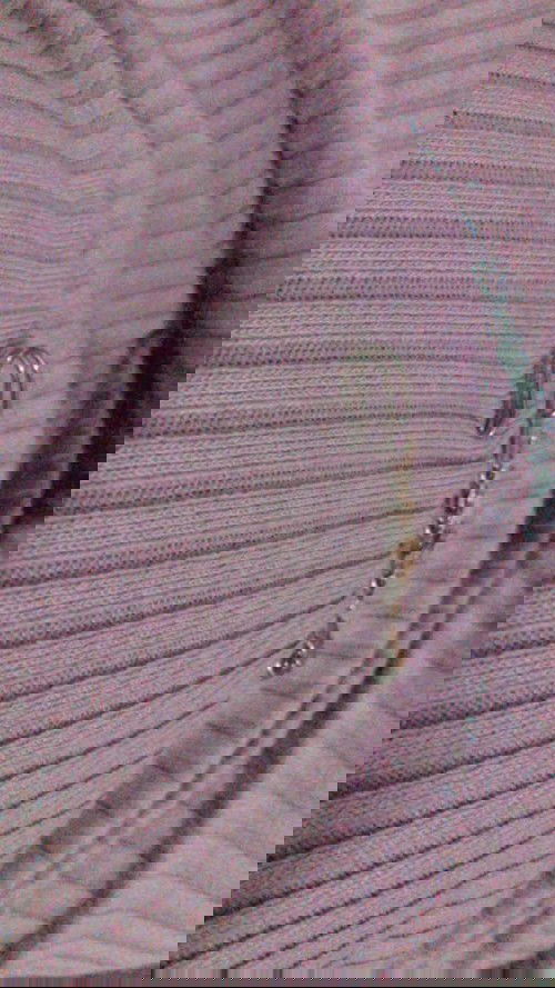 สอบถามหน่อยค่ะคนท้องสามารถทานผักสดได้ไหมคะเช่นผักโหระพา ผักสะลัด