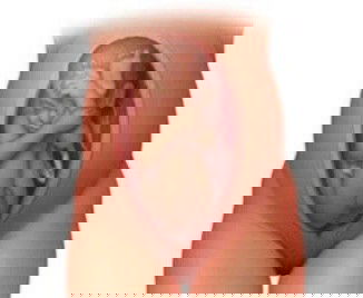 สอบถามค่ะ ลูกของแม่ๆกลับหัวกันตอนกี่วีคคะ