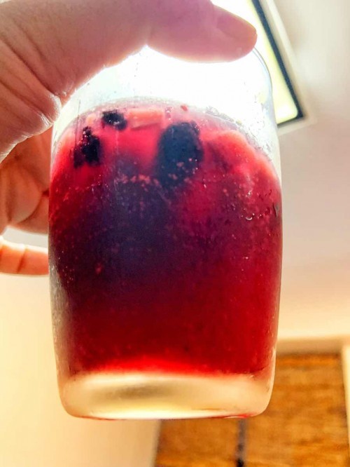 Kombucha time