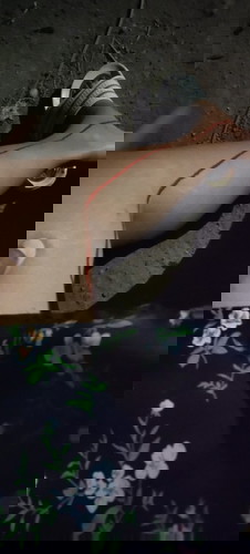 แม่ๆท่านใหนเคยมีประสบการรกเกาะต่ำ28+3
แชร์ประสบการณ์หน่อยจ้า