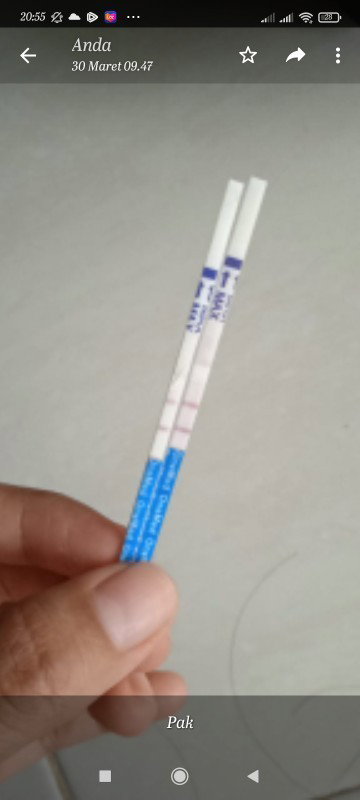 Kesundulan