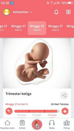 Menunggu gelombang cinta